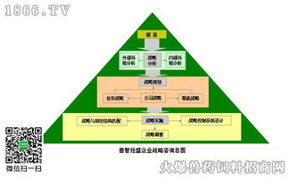 右腦思維 戰略咨詢中的創新引擎與競爭優勢