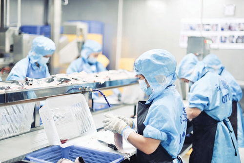 廣東永寰供應鏈管理 打造魚類預制菜全產業鏈新標桿